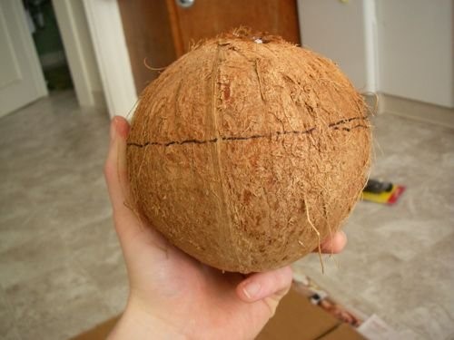 Coconut Shell SAFIMEX