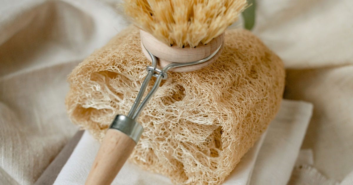 7 Reasons Supporting The Use Of Organic Loofah - Handicraftsafimex